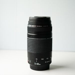 Canon Zoom Lens EF 75-300mm Telephoto